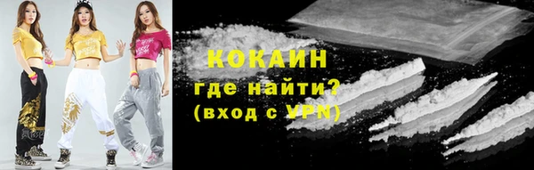 молекула духа Алексин