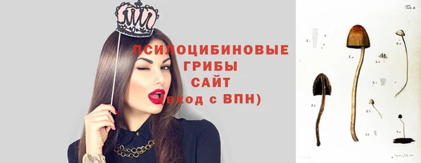 скорость Алзамай
