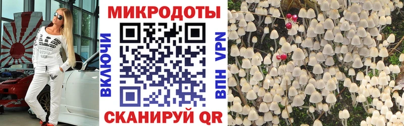 нарко площадка формула  Заводоуковск  гидра как зайти  Галлюциногенные грибы MAGIC MUSHROOMS  где купить наркоту 