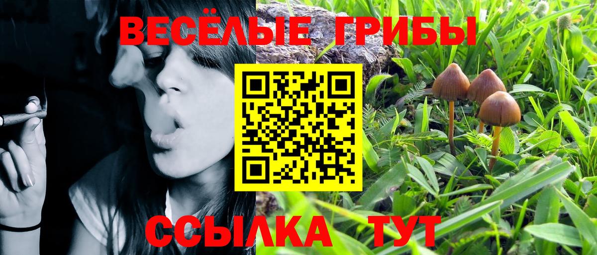 Галлюциногенные грибы Psilocybine cubensis  Псилоцибиновые грибы MAGIC MUSHROOMS  Вход с VPN  как найти закладки  Заводоуковск 